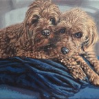 Zenny and Luna &bull; 10